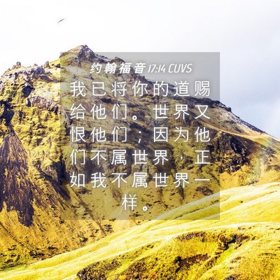 Picture 04 - 约 翰 福 音 17:14 CUVS - 我 已 将 你 的 道 赐 给 他 们 。 世 - Bible Verse Picture
