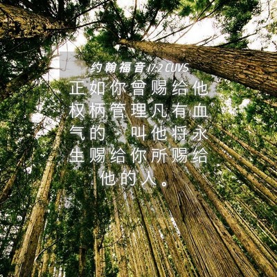 Picture 04 - 约 翰 福 音 17:2 CUVS - 正 如 你 曾 赐 给 他 权 柄 管 理 凡 - Bible Verse Picture
