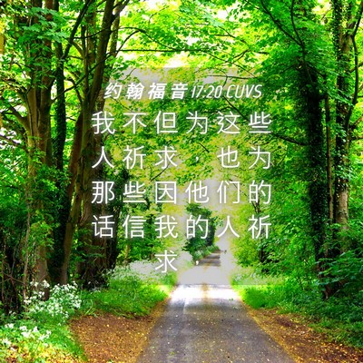 Picture 04 - 约 翰 福 音 17:20 CUVS - 我 不 但 为 这 些 人 祈 求 ， 也 为 - Bible Verse Picture