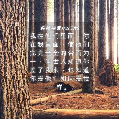 Picture 04 - 约 翰 福 音 17:23 CUVS - 我 在 他 们 里 面 ， 你 在 我 里 面 - Bible Verse Picture