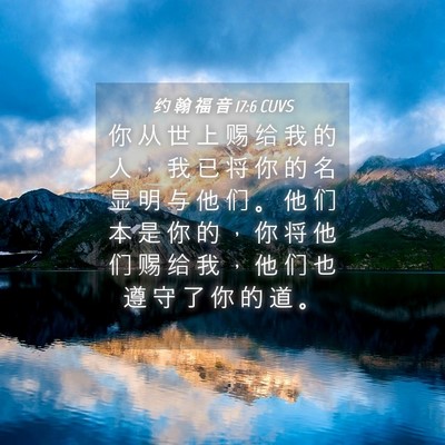 Picture 04 - 约 翰 福 音 17:6 CUVS - 你 从 世 上 赐 给 我 的 人 ， 我 已 - Bible Verse Picture