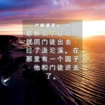 Picture 04 - 约 翰 福 音 18:1 CUVS - 耶 稣 说 了 这 话 ， 就 同 门 徒 出 - Bible Verse Picture