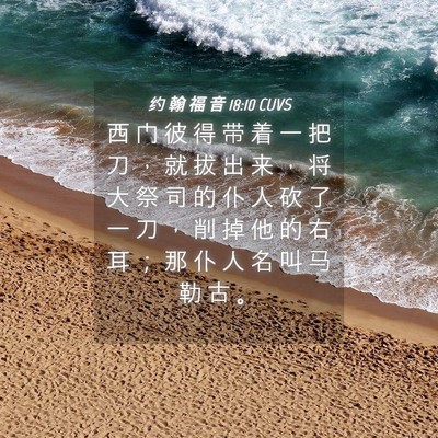 Picture 04 - 约 翰 福 音 18:10 CUVS - 西 门 彼 得 带 着 一 把 刀 ， 就 拔 - Bible Verse Picture