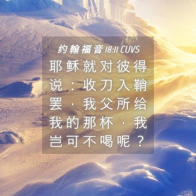 Picture 04 - 约 翰 福 音 18:11 CUVS - 耶 稣 就 对 彼 得 说 ： 收 刀 入 鞘 - Bible Verse Picture