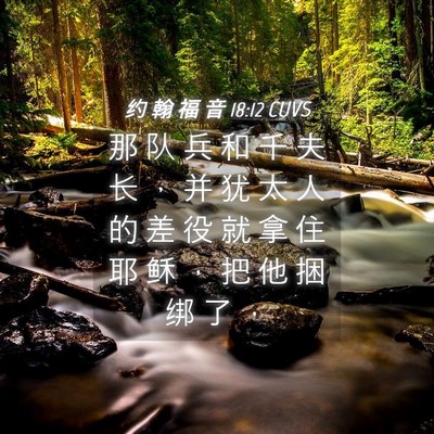 Picture 04 - 约 翰 福 音 18:12 CUVS - 那 队 兵 和 千 夫 长 ， 并 犹 太 人 - Bible Verse Picture