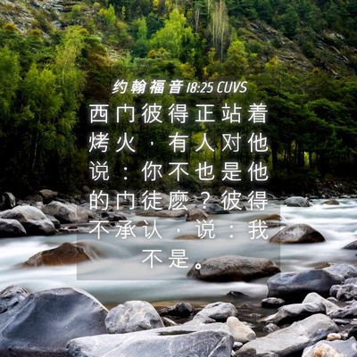 Picture 04 - 约 翰 福 音 18:25 CUVS - 西 门 彼 得 正 站 着 烤 火 ， 有 人 - Bible Verse Picture