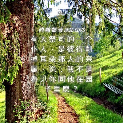 Picture 04 - 约 翰 福 音 18:26 CUVS - 有 大 祭 司 的 一 个 仆 人 ， 是 彼 - Bible Verse Picture