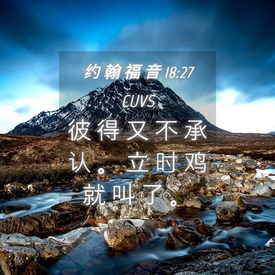 Picture 04 - 约 翰 福 音 18:27 CUVS - 彼 得 又 不 承 认 。 立 时 鸡 就 叫 - Bible Verse Picture