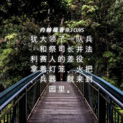 Picture 04 - 约 翰 福 音 18:3 CUVS - 犹 大 领 了 一 队 兵 ， 和 祭 司 长 - Bible Verse Picture