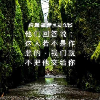 Picture 04 - 约 翰 福 音 18:30 CUVS - 他 们 回 答 说 ： 这 人 若 不 是 作 - Bible Verse Picture