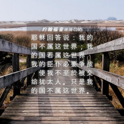 Picture 04 - 约 翰 福 音 18:36 CUVS - 耶 稣 回 答 说 ： 我 的 国 不 属 这 - Bible Verse Picture