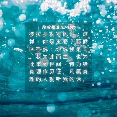 Picture 04 - 约 翰 福 音 18:37 CUVS - 彼 拉 多 就 对 他 说 ： 这 样 ， 你 - Bible Verse Picture