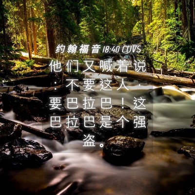 Picture 04 - 约 翰 福 音 18:40 CUVS - 他 们 又 喊 着 说 ： 不 要 这 人 ， - Bible Verse Picture
