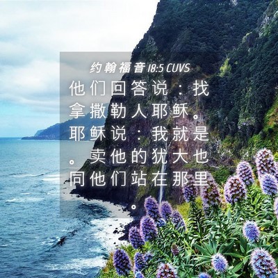 Picture 04 - 约 翰 福 音 18:5 CUVS - 他 们 回 答 说 ： 找 拿 撒 勒 人 耶 - Bible Verse Picture