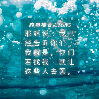 Picture 04 - 约 翰 福 音 18:8 CUVS - 耶 稣 说 ： 我 已 经 告 诉 你 们 ， - Bible Verse Picture