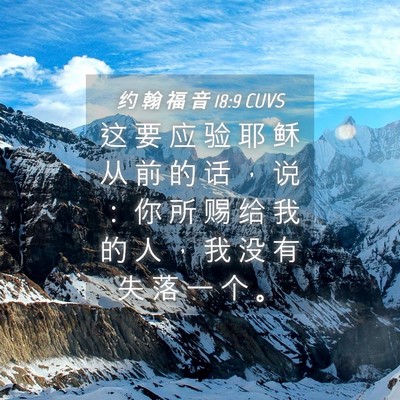 Picture 04 - 约 翰 福 音 18:9 CUVS - 这 要 应 验 耶 稣 从 前 的 话 ， 说 - Bible Verse Picture