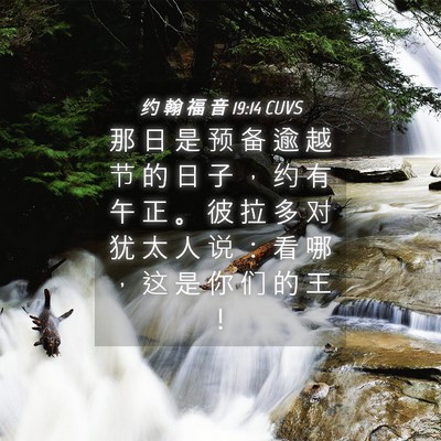 Picture 04 - 约 翰 福 音 19:14 CUVS - 那 日 是 预 备 逾 越 节 的 日 子 ， - Bible Verse Picture