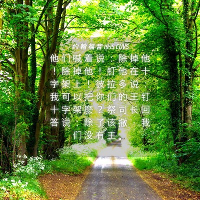 Picture 04 - 约 翰 福 音 19:15 CUVS - 他 们 喊 着 说 ： 除 掉 他 ！ 除 掉 - Bible Verse Picture