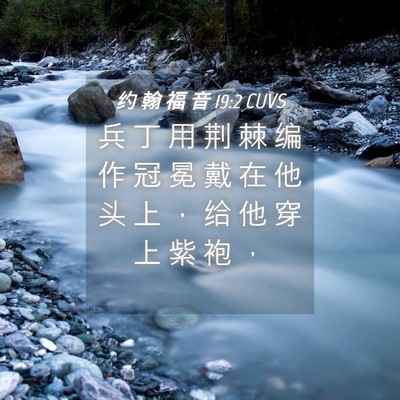 Picture 04 - 约 翰 福 音 19:2 CUVS - 兵 丁 用 荆 棘 编 作 冠 冕 戴 在 他 - Bible Verse Picture