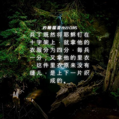 Picture 04 - 约 翰 福 音 19:23 CUVS - 兵 丁 既 然 将 耶 稣 钉 在 十 字 架 - Bible Verse Picture