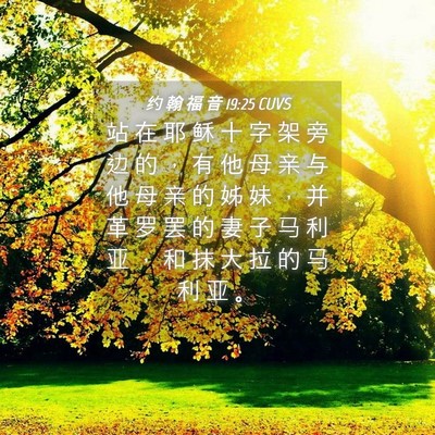 Picture 04 - 约 翰 福 音 19:25 CUVS - 站 在 耶 稣 十 字 架 旁 边 的 ， 有 - Bible Verse Picture