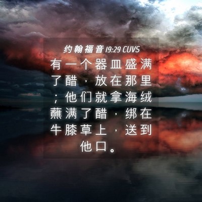 Picture 04 - 约 翰 福 音 19:29 CUVS - 有 一 个 器 皿 盛 满 了 醋 ， 放 在 - Bible Verse Picture