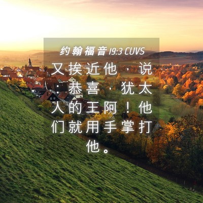 Picture 04 - 约 翰 福 音 19:3 CUVS - 又 挨 近 他 ， 说 ： 恭 喜 ， 犹 太 - Bible Verse Picture