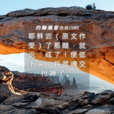 Picture 04 - 约 翰 福 音 19:30 CUVS - 耶 稣 尝 （ 原 文 作 受 ） 了 那 醋 - Bible Verse Picture