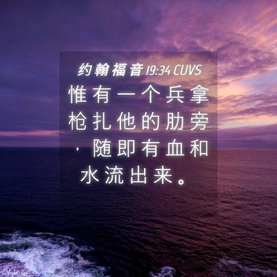Picture 04 - 约 翰 福 音 19:34 CUVS - 惟 有 一 个 兵 拿 枪 扎 他 的 肋 旁 - Bible Verse Picture