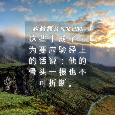 Picture 04 - 约 翰 福 音 19:36 CUVS - 这 些 事 成 了 ， 为 要 应 验 经 上 - Bible Verse Picture