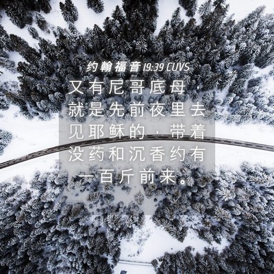 Picture 04 - 约 翰 福 音 19:39 CUVS - 又 有 尼 哥 底 母 ， 就 是 先 前 夜 - Bible Verse Picture