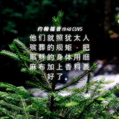 Picture 04 - 约 翰 福 音 19:40 CUVS - 他 们 就 照 犹 太 人 殡 葬 的 规 矩 - Bible Verse Picture