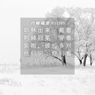 Picture 04 - 约 翰 福 音 19:5 CUVS - 耶 稣 出 来 ， 戴 着 荆 棘 冠 冕 ， - Bible Verse Picture