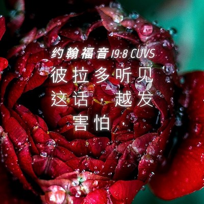 Picture 04 - 约 翰 福 音 19:8 CUVS - 彼 拉 多 听 见 这 话 ， 越 发 害 怕 - Bible Verse Picture