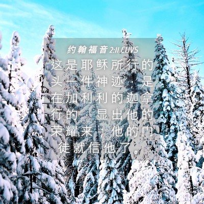 Picture 04 - 约 翰 福 音 2:11 CUVS - 这 是 耶 稣 所 行 的 头 一 件 神 迹 - Bible Verse Picture