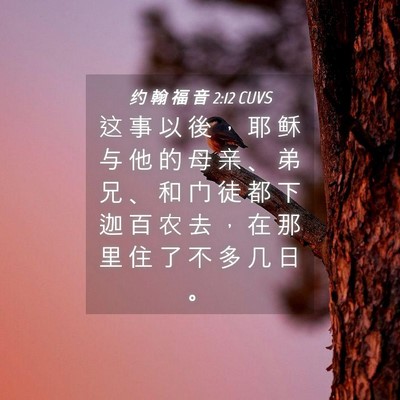 Picture 04 - 约 翰 福 音 2:12 CUVS - 这 事 以 後 ， 耶 稣 与 他 的 母 亲 - Bible Verse Picture