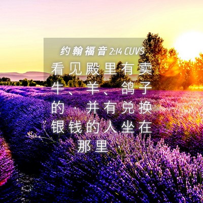 Picture 04 - 约 翰 福 音 2:14 CUVS - 看 见 殿 里 有 卖 牛 、 羊 、 鸽 子 - Bible Verse Picture