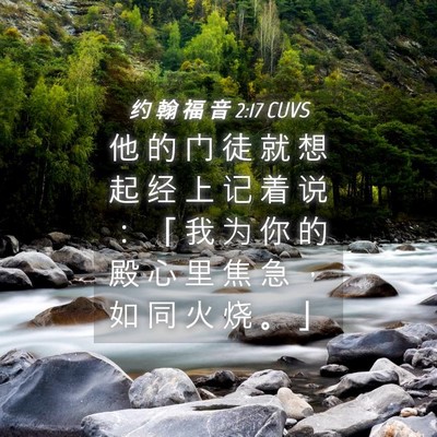 Picture 04 - 约 翰 福 音 2:17 CUVS - 他 的 门 徒 就 想 起 经 上 记 着 说 - Bible Verse Picture
