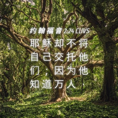 Picture 04 - 约 翰 福 音 2:24 CUVS - 耶 稣 却 不 将 自 己 交 托 他 们 ； - Bible Verse Picture