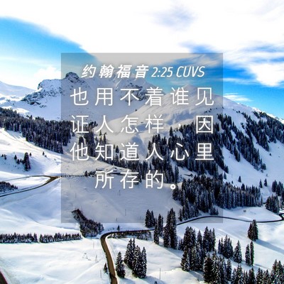 Picture 04 - 约 翰 福 音 2:25 CUVS - 也 用 不 着 谁 见 证 人 怎 样 ， 因 - Bible Verse Picture