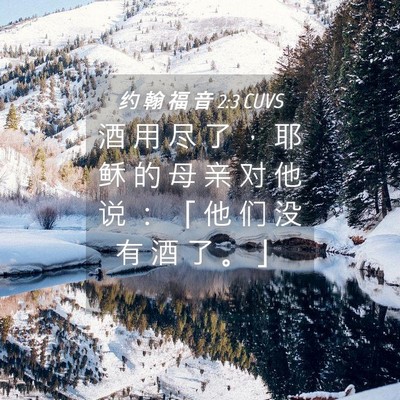 Picture 04 - 约 翰 福 音 2:3 CUVS - 酒 用 尽 了 ， 耶 稣 的 母 亲 对 他 - Bible Verse Picture