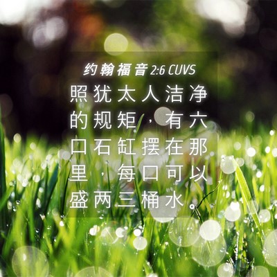 Picture 04 - 约 翰 福 音 2:6 CUVS - 照 犹 太 人 洁 净 的 规 矩 ， 有 六 - Bible Verse Picture