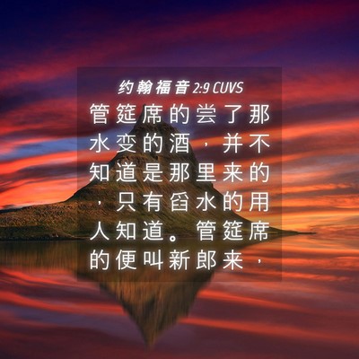 Picture 04 - 约 翰 福 音 2:9 CUVS - 管 筵 席 的 尝 了 那 水 变 的 酒 ， - Bible Verse Picture