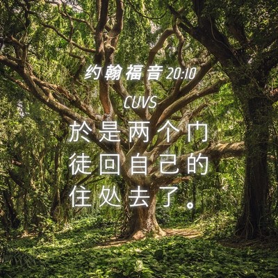 Picture 04 - 约 翰 福 音 20:10 CUVS - 於 是 两 个 门 徒 回 自 己 的 住 处 - Bible Verse Picture