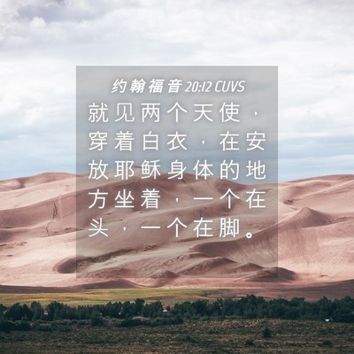 Picture 04 - 约 翰 福 音 20:12 CUVS - 就 见 两 个 天 使 ， 穿 着 白 衣 ， - Bible Verse Picture