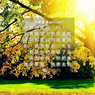 Picture 04 - 约 翰 福 音 20:15 CUVS - 耶 稣 问 他 说 ： 妇 人 ， 为 甚 麽 - Bible Verse Picture