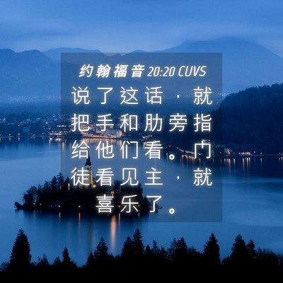 Picture 04 - 约 翰 福 音 20:20 CUVS - 说 了 这 话 ， 就 把 手 和 肋 旁 指 - Bible Verse Picture