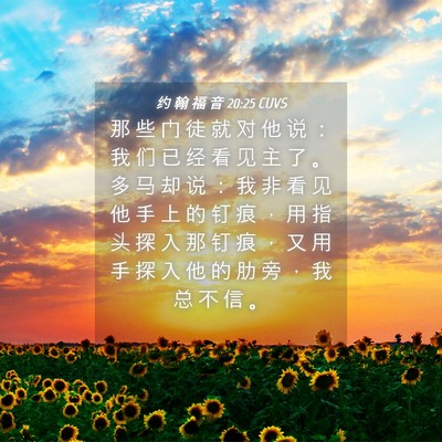 Picture 04 - 约 翰 福 音 20:25 CUVS - 那 些 门 徒 就 对 他 说 ： 我 们 已 - Bible Verse Picture