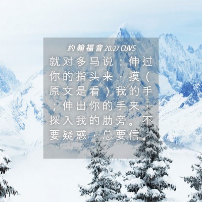 Picture 04 - 约 翰 福 音 20:27 CUVS - 就 对 多 马 说 ： 伸 过 你 的 指 头 - Bible Verse Picture