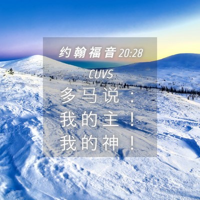 Picture 04 - 约 翰 福 音 20:28 CUVS - 多 马 说 ： 我 的 主 ！ 我 的 神 - Bible Verse Picture